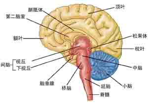 未標題-2.jpg